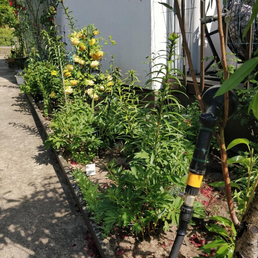 Gaestehaus Am Teich Raben Steinfeld Ngoại thất bức ảnh
